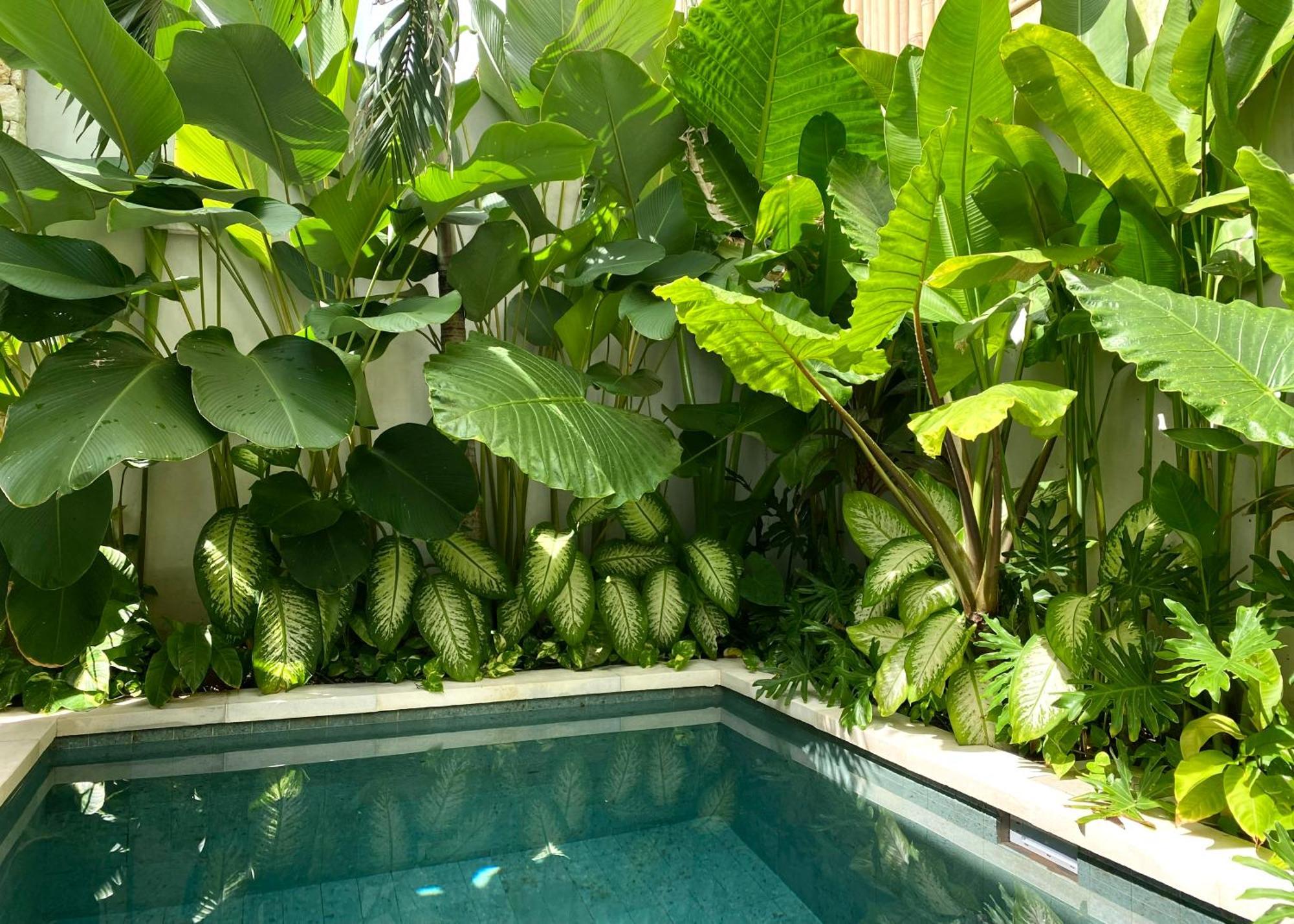 Alma Bingin Boutique Hotel أُلُواتو المظهر الخارجي الصورة
